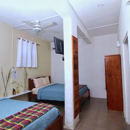 Rainforest Haven Inn San Ignacio Zewnętrze zdjęcie