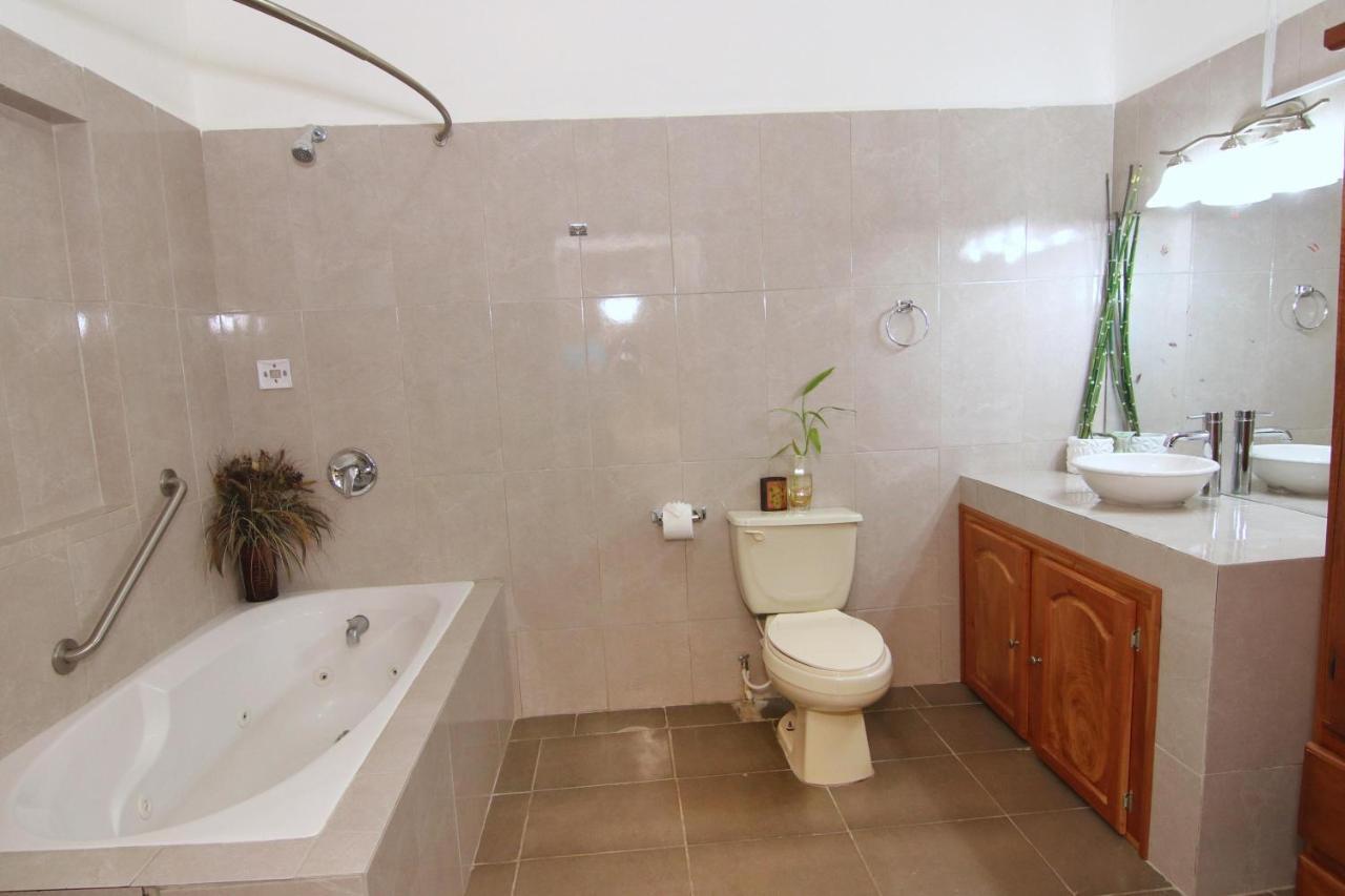 Rainforest Haven Inn San Ignacio Zewnętrze zdjęcie