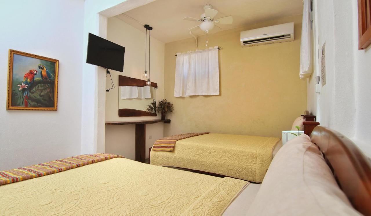 Rainforest Haven Inn San Ignacio Zewnętrze zdjęcie