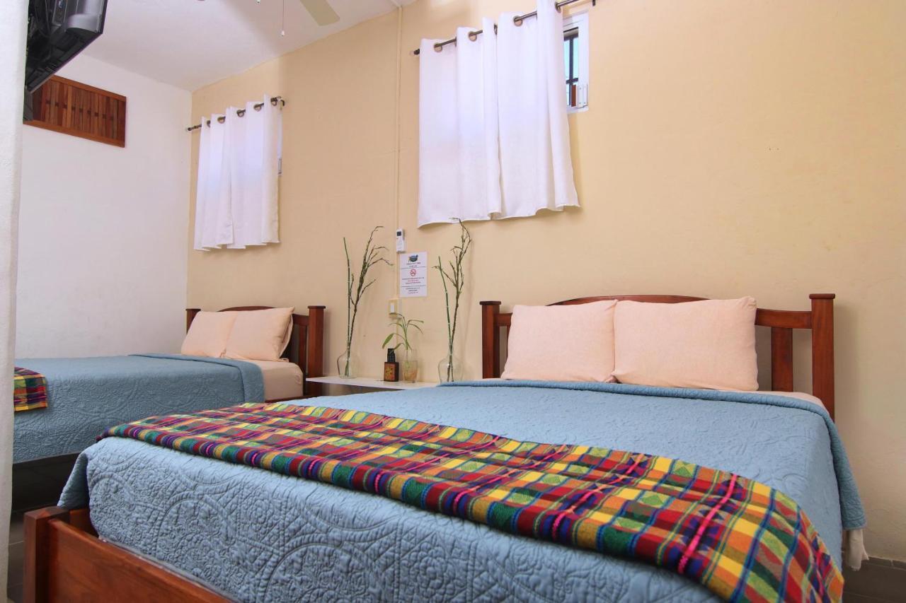 Rainforest Haven Inn San Ignacio Zewnętrze zdjęcie