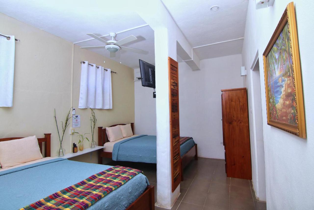 Rainforest Haven Inn San Ignacio Zewnętrze zdjęcie