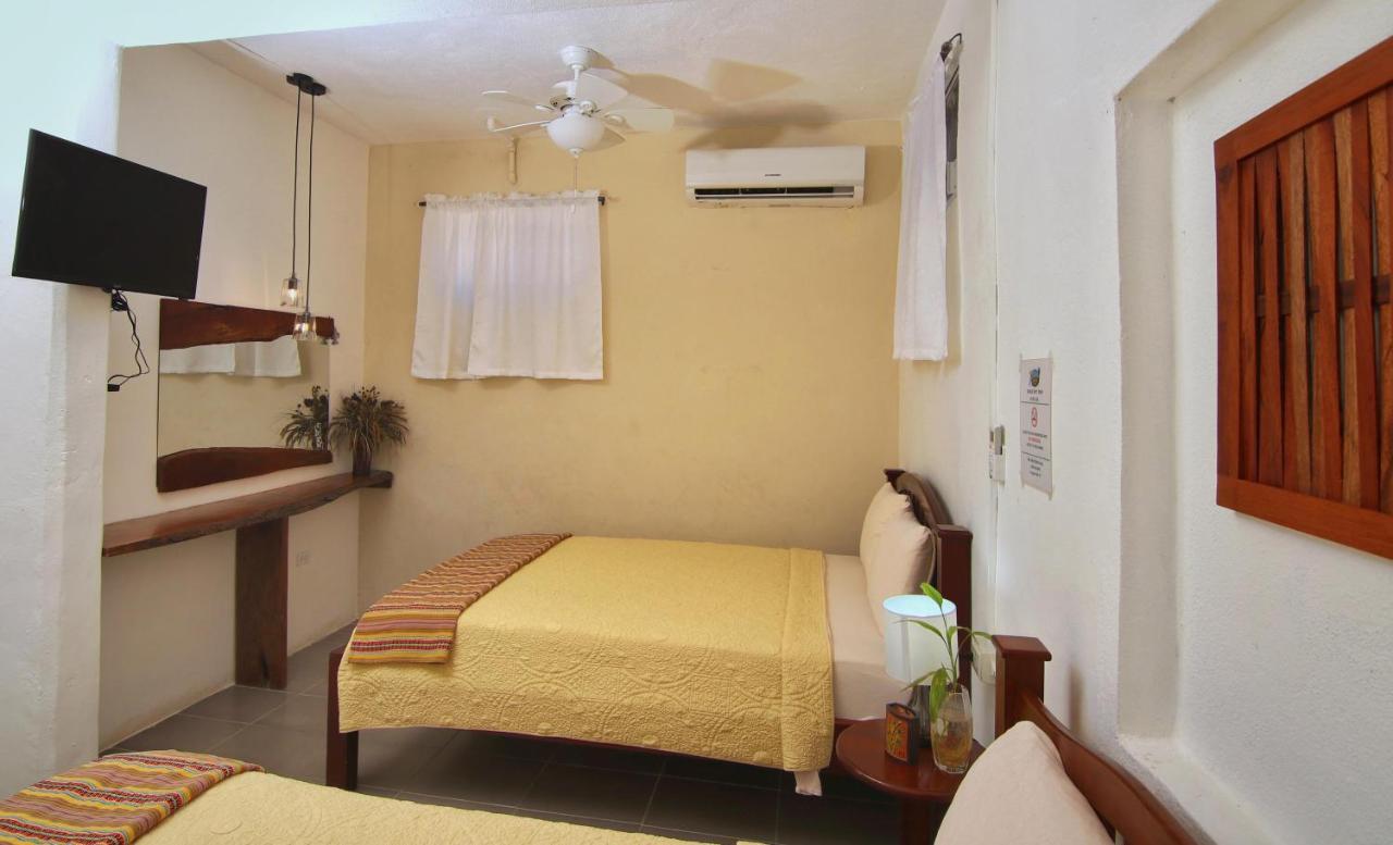 Rainforest Haven Inn San Ignacio Zewnętrze zdjęcie