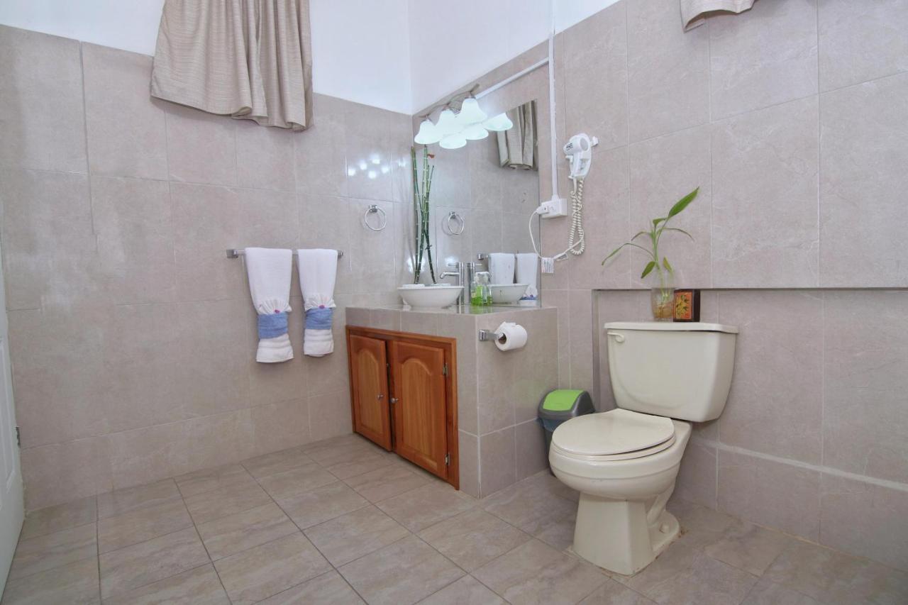 Rainforest Haven Inn San Ignacio Zewnętrze zdjęcie